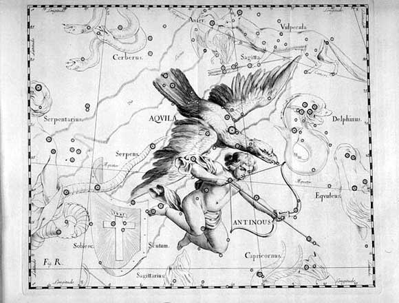 Aquila vista da Hevelius